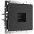 Розетка Werkel Ethernet RJ-45 черный матовый W1181008 4690389156946