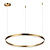 Подвесной светодиодный светильник Lumion Ledio Echo 6531/50L