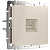 Розетка Ethernet RJ-45 Werkel айвори W1181062 4690389192241