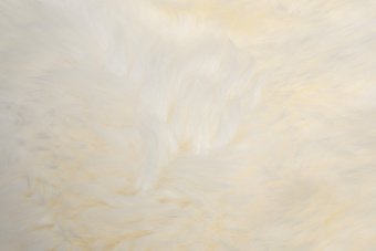 Шкура овечья четверная белая со швами 155х90 см