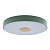 Потолочный светодиодный светильник Loft IT Axel 10003/24 green