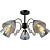 Потолочная люстра Illumico IL0230-5CSQ-29 BK AB