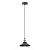 Подвесной светильник ЭРА Loft PL4 BK/RC Б0037438