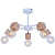 Потолочная люстра Toplight Alisha TL1197X-05AB