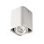 Накладной точечный светильник Kanlux TOLEO DTL50-W 26114