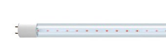 Лампа светодиодная для растений Jazzway Agro G13 16W прозрачная 5025912