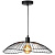 Подвесной светильник Toplight Agnes TL1196H-01BK