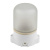 Потолочный влагозащищенный светильник для бань и саун Uniel UWL-K01R 60W/E27 IP65 White UL-00011471