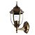 Уличный настенный светильник Arte Lamp Pegasus A3151AL-1BN
