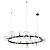 Подвесная люстра Arte Lamp Vincent A7790SP-24BK