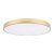 Потолочный светодиодный светильник Loft IT Flims 10228/B