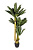 29BJ-695-37 Пальма CYCAS искусственная в горшке h160см
