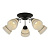 Потолочная люстра Toplight Winnifred TL1255D-05BC
